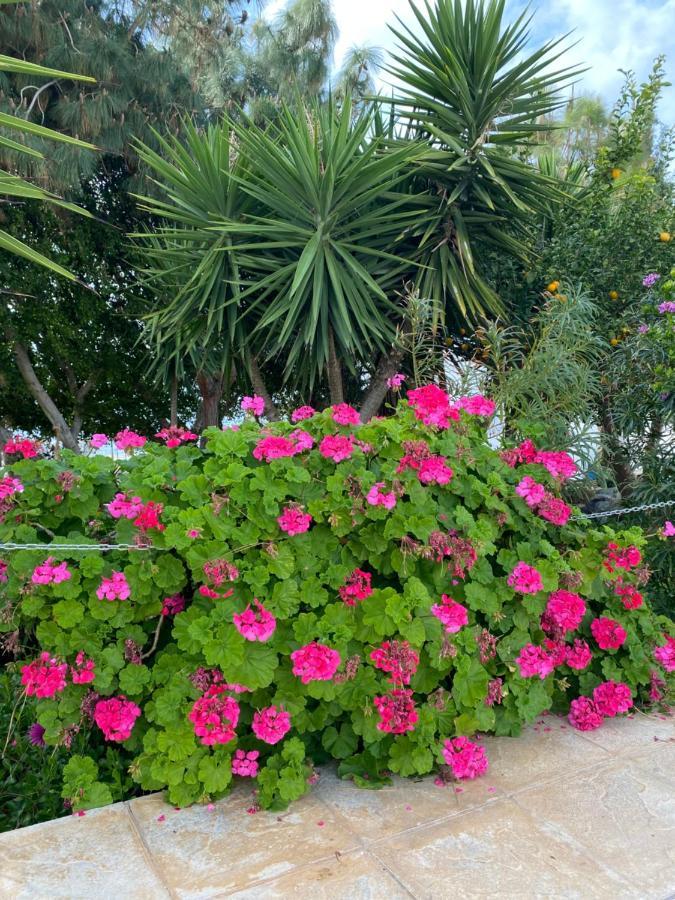 Apartamento Mediterranean Sunset Klorakas Exterior foto